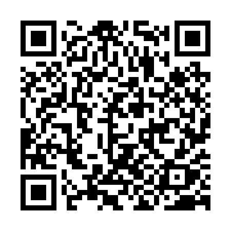 QR code for IIN21X