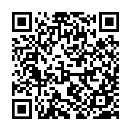 QR code for IIR29T