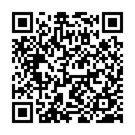 QR code for IIS31T