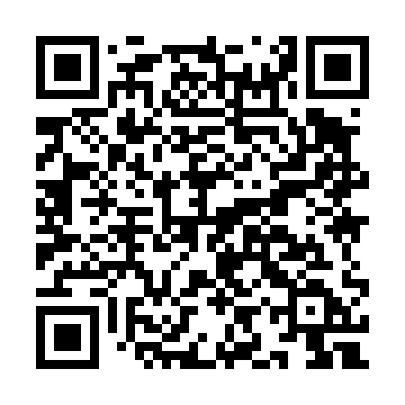 QR code for IIY41D