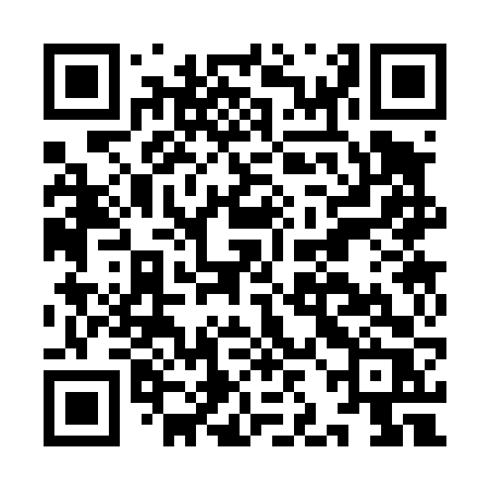 QR code for IJC46R