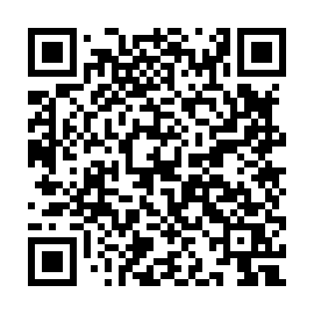 QR code for IJO85S