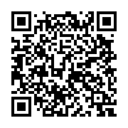 QR code for IJS09A