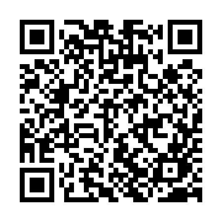 QR code for IJS55N
