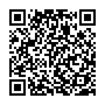QR code for IJT17H