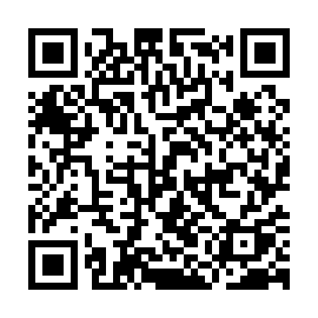 QR code for IMO11Q