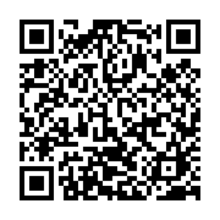 QR code for IMV41C