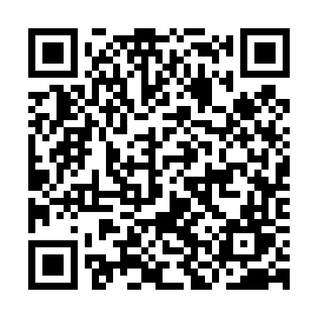 QR code for INS46T