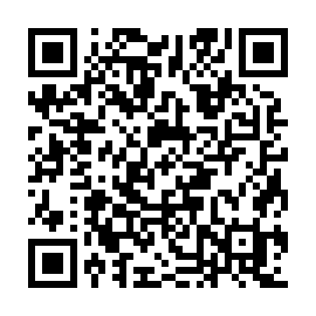 QR code for INS87I