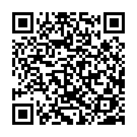 QR code for IPP13J