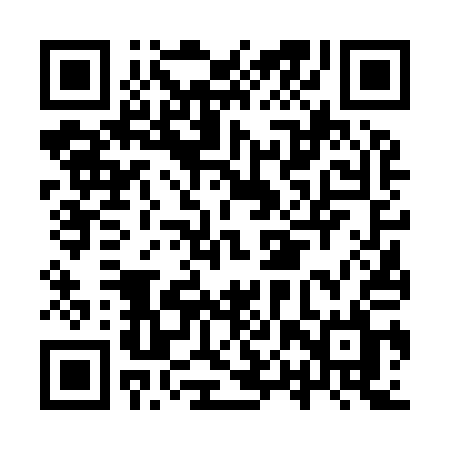 QR code for IPV91L