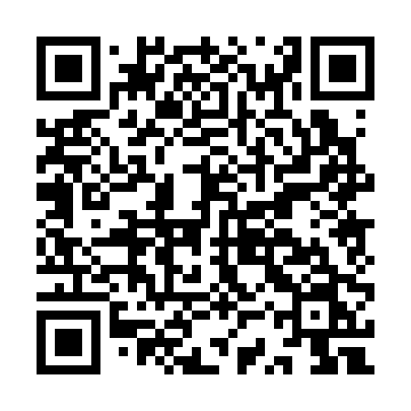 QR code for ISP30N