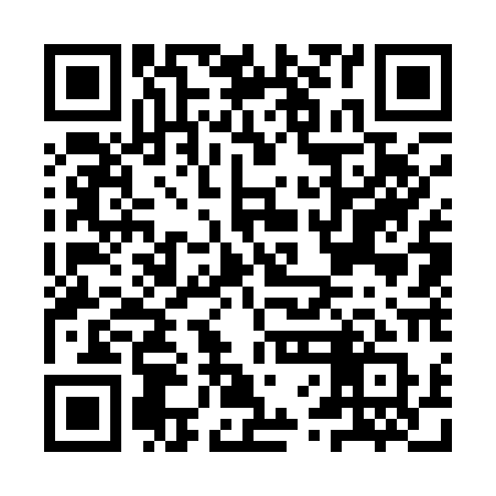 QR code for IVG10Q