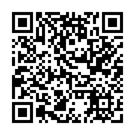QR code for JDS13N