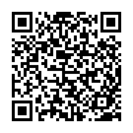 QR code for L11QHO