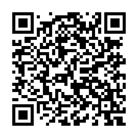QR code for L13LMO
