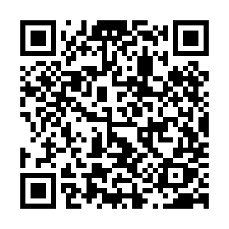 QR code for L13PMX