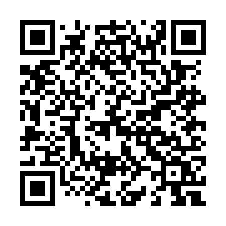 QR code for L20OOV