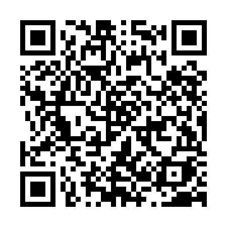 QR code for L29AOI