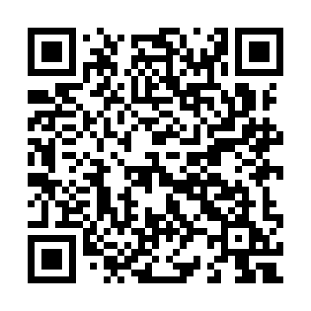 QR code for L29IIE