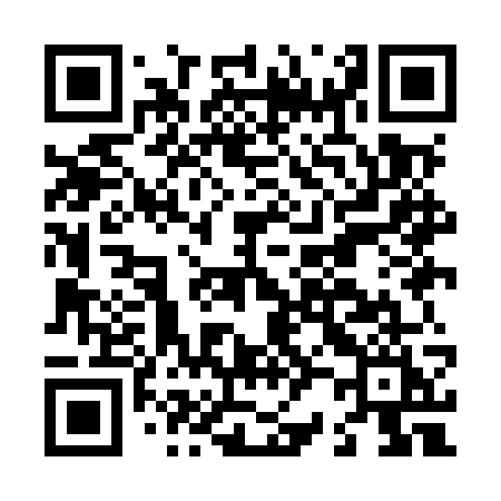 QR code for L29MWI