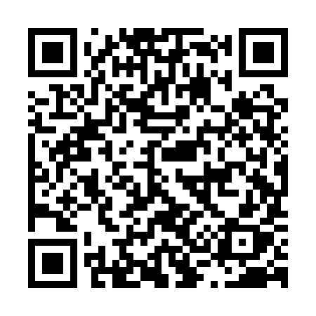 QR code for L38AYX