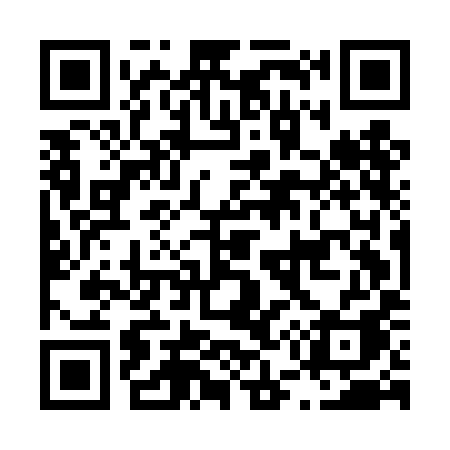 QR code for L55DIA