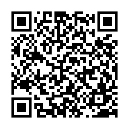QR code for L79MAV