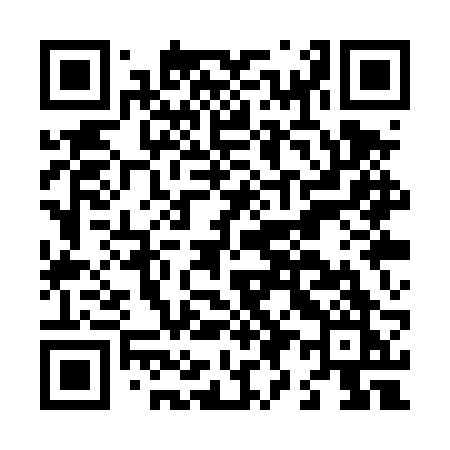 QR code for L91TRK