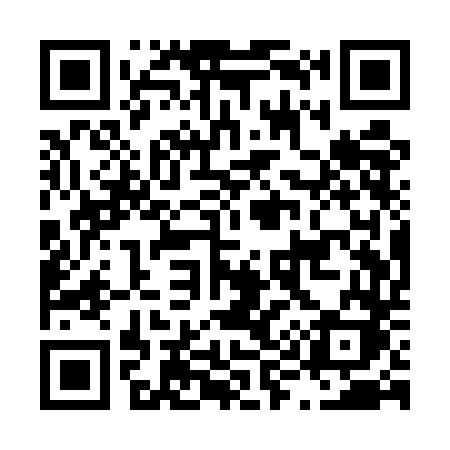 QR code for L91UDK