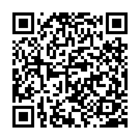QR code for L95CDX