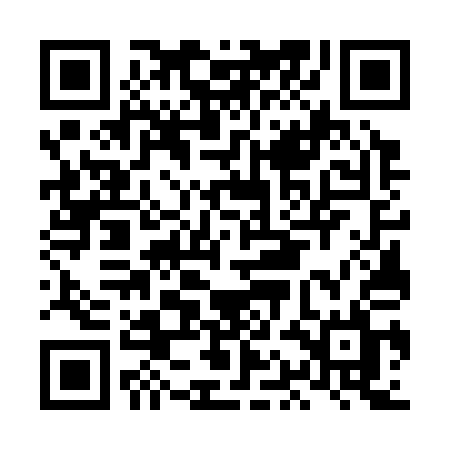 QR code for LAG31L