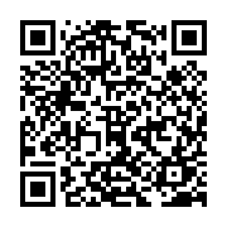 QR code for LAI01T