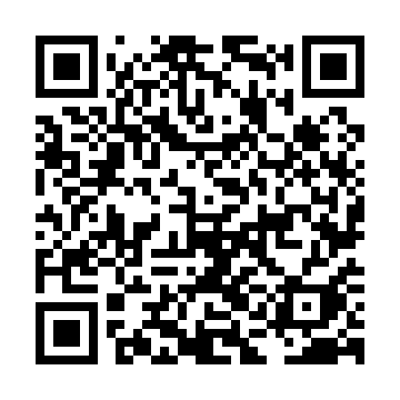 QR code for LAN11I