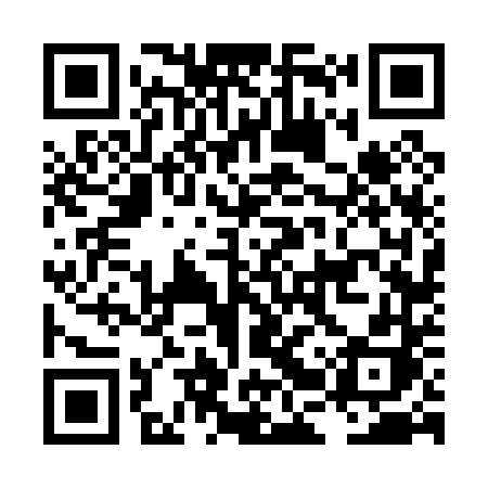 QR code for LBV04H