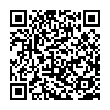 QR code for LDP13I