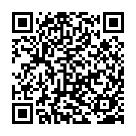 QR code for LDQ11M