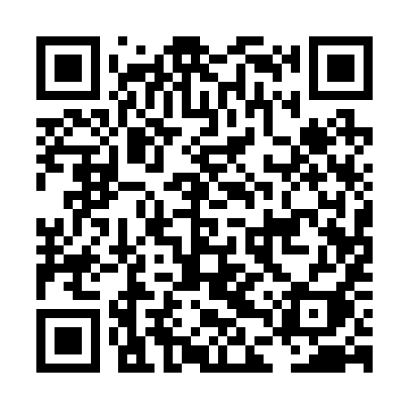 QR code for LDQ29I