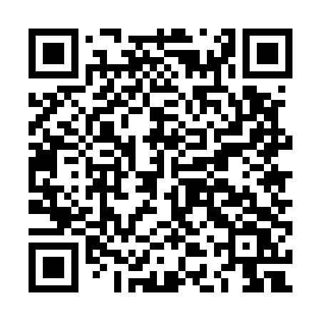 QR code for LDU54V