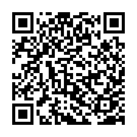 QR code for LDV30P