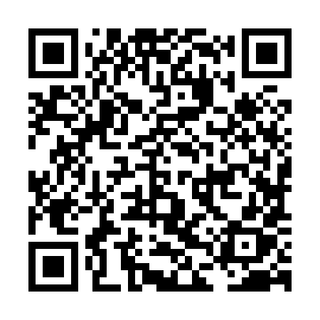 QR code for LDZ88X