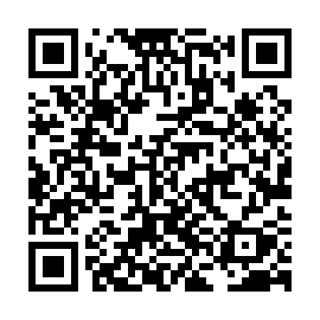 QR code for LFL13Y