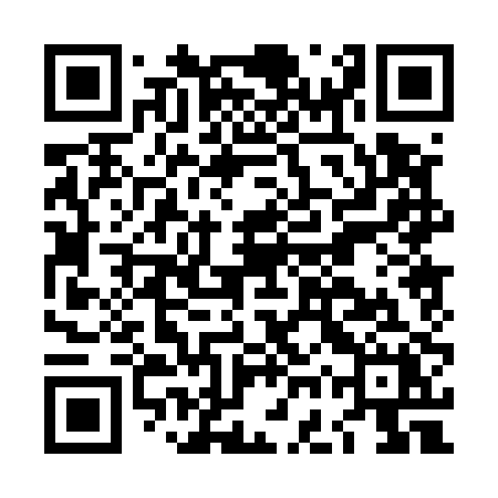 QR code for LGP50X