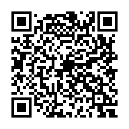 QR code for LGX95E