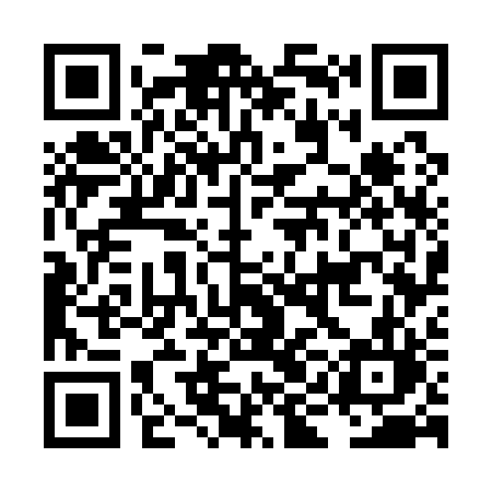 QR code for LIG12L