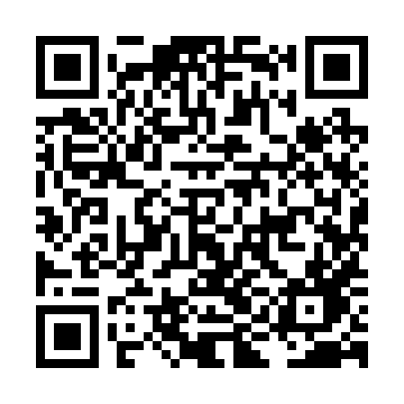 QR code for LII28D