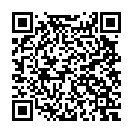 QR code for LIR06N