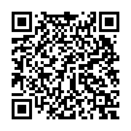 QR code for LIR63T