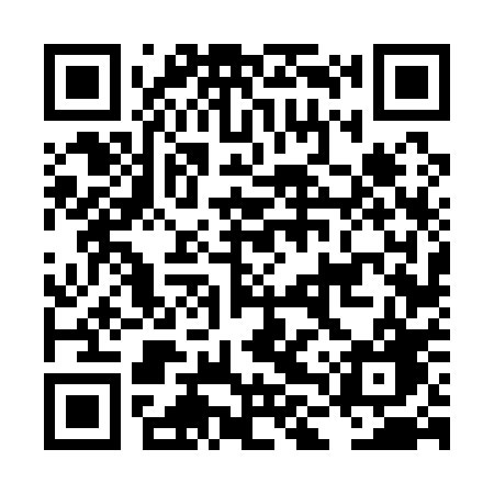 QR code for LLV10G
