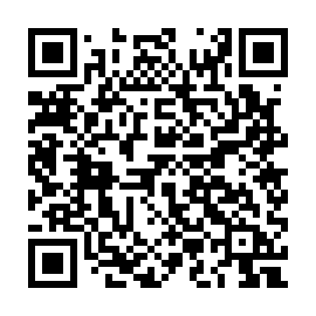 QR code for LMG11B